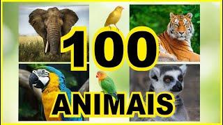 100 ANIMAIS para Crianças - Conheça 100 Animais Reais Vídeo e Som