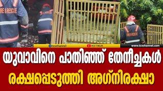 സല്യൂട്ട് , യുവാവിന്റെ ശരീരത്തില്‍ പൊതിഞ്ഞ് തേനീച്ചകള്‍; സാഹസികമായി രക്ഷപ്പെടുത്തി അഗ്‌നിരക്ഷാ | Tcv