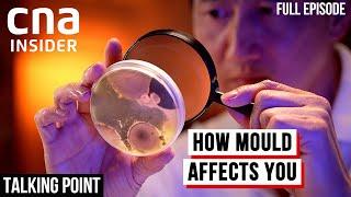 Is Mould In Our Homes Killing Us? | Talking Point | Full Episode