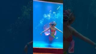 Chennai Mermaid Show @ Marine Expo kotivakkam #exhibition #marineexpo #mermaidshow #shorts