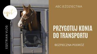 Jak przygotować konia do transportu?