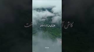 کاش آن تب که تو را سوخت        مرا سوخته بود #موسیقی #آهنگ #نوستالژی #هایده #موسیقی_سنتی
