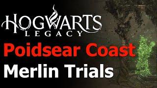 Hogwarts Legacy - All 10 Poidsear Coast Merlin Trials Guide - Merlin's Beard Achievement & Trophy