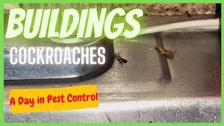 How to do Pest Control in Tenement Buildings. Jun 15