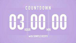 3 Hours Countdown Flip Clock Timer / Simple Beeps 🫐 