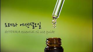 도테라 시더우드 에센셜오일 가이드 Doterra Cederwood Essential oil Guide