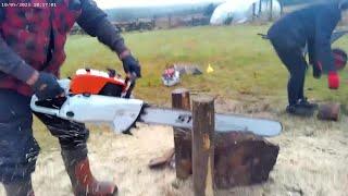 Stihl 090 Replica Running in please pass Bites like a Lion