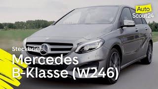 Steckbrief: Mercedes B-Klasse (W246)