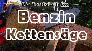  Benzin Motorsäge / Kettensäge Test –  Top 3 Benzin Motorsäge / Kettensäge im Test