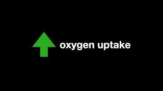 Oxygen Uptake Training - from 1:00 to 5:00 (O2 Tables)