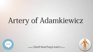 Artery of Adamkiewicz    Anatomy Named After People 