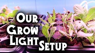 Get a Jumpstart on Spring! Starting Seeds Indoors with Grow Lights