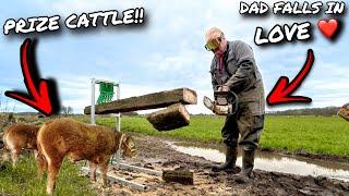 IT HAS EVERYTHING!... DAD FALLS IN LOVE WITH A SHOW GROUND PURCHASE!?