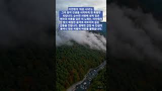 이찬원의 ‘미운 사내’는 사랑에 상처 입은 여자의 마음을 담아낸 곡으로, 그의 맑고 애절한 음색이 감정을 깊이 있게 전합니다. 진심 어린 무대로 많은 이들의 마음을 울린 대표곡