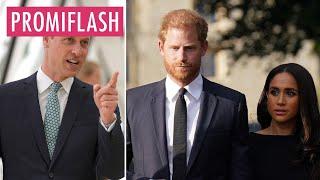 Prinz William riet Harry von seiner Verlobung mit Meghan ab