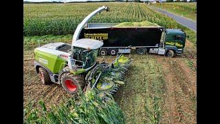 Maisernte'24 • Claas Jaguar 970 & 9x Abfahrer • Scania V8 • Actros 8x8 • John Deere 6R 230 • Claas