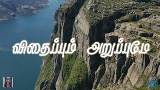 விதைப்பும் அறுப்புமே / VIDHAIPUM ARUPUMEY / Justus / Cover-Emil Jebasingh / Chordiels Music