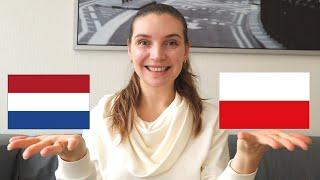 Living in the Netherlands and Poland // Expat Family Experience / Answering your questions