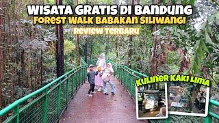 Rekomendasi Wisata Gratis di Bandung | Review Terbaru Wisata Alam Walk Forest  Babakan Siliwangi