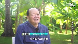 《透视新科技》 20250112 “斑”斓育新种 | CCTV科教