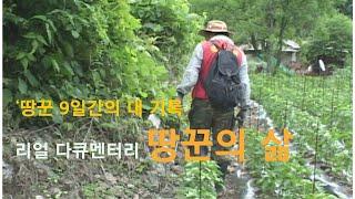 ‘땅꾼 9일간의 대 기록' 리얼 다큐멘터리 땅꾼의 삶   4K변환 아카이브 the life of a snake-catcher