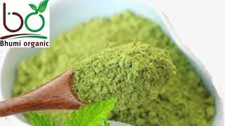 Bhumi Organic Natural Mint Powder #mint #viral #bhumiorganicfarm #food