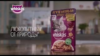 Whiskas Аппетитный микс | Рекламный ролик