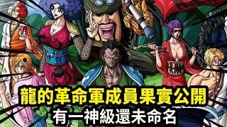 One Piece: The fruits of the members of the dragon's revolutionary army are open  three nature and