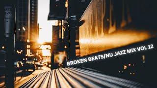 BROKEN BEATS/NU JAZZ MIX VOL 12