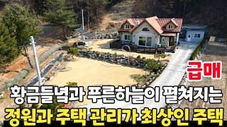 (강추) 황금 들녘과 푸른 하늘이 펼쳐지는 곳! 잔디와 주택의 관리 상태가 최상인 역대급 전원주택! - 힐링하우스TV (강원도 홍천군)