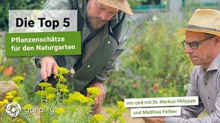 Die Top 5 - Pflanzenschätze für den Naturgarten mit Matthias Fellner, Insekten | gardify Tipps