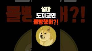 설마 도지코인 몰빵했어? 목표가는 1500원?!