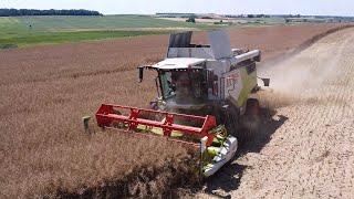  ŻNIWA RZEPACZANE 2024  CLAAS TRION 520 & JOHN DEERE 6930  W AKCJI  GOSPODARSTWO ROLNE BUCZAK