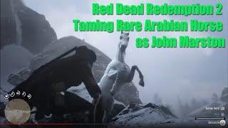 Red Dead Redemption 2 Taming Rare Arabian Horse as John Marston