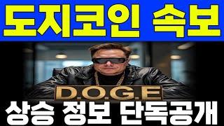 [도지코인] 긴급속보 밈코인 대장 도지, 상승 정보로 결국 이렇게 되는구나 #도지코인 #dogecoin