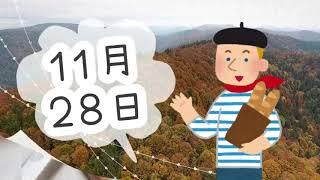 【１１月２８日】今日は何の日？「フランスパンの日」フランスパンが硬い理由は？/ 雑学