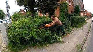 The Owner Also ASKED ME to TRIM the Neighbor's HEDGE While He Was on Vacation