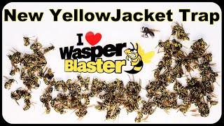 The Amazingly Fast Wasper Blaster Yellow Jacket Trap. How To Quickly Catch Hornets. Mousetrap Monday