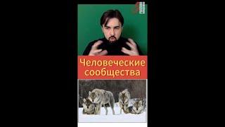 Устройство общества. #сообщества #человечество #люди