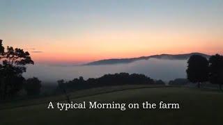 Typical Morning at Mill Gap Farm Monterey Virginia