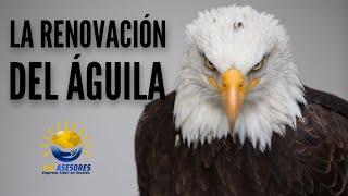 La Renovación del Águila en HD - ELG ASESORES  LATINOAMERICA 2023 - Video Motivacional de Impacto