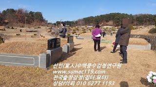 105번 사례-미국에서 위독하신 아버지 묘자리 풍수 보러 온 딸 (예산 화산추모공원 출장편)