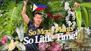 From Exotic Trends to Common Favorites! HUNDREDS Of Gorgeous Garden and Houseplants in Mindanao 