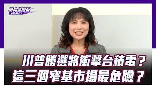 川普勝選將衝擊台積電？陳鳳馨：這三個「窄基市場」最危險！【Yahoo TV ＃風向龍鳳配】