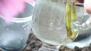 Веранда