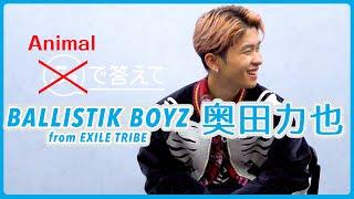 【Animal で答えて】奥田力也 - BALLISTIK BOYZ from EXILE TRIBE