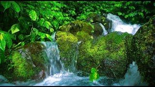 Rocks Mountain River Flowing, Nature Sounds. Mountain River Stream, White Noise for Sleeping, Study