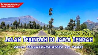 Jalan Tembus Temanggung-Dieng via Kebun Teh Tambi, INDAH SEKALI