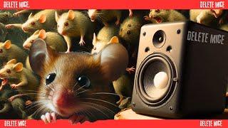 Mouse Repellent Noise | Sound To Scare Mouse