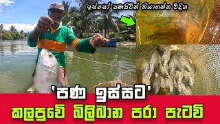 Don't Miss Out: Epic Live Prawn Fishing in Negombo, Amazing Sri Lankan Fishing Experience